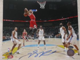Derrick Rose Signed Chicago Bulls NBA Action Photo Derrick Rose Hologram