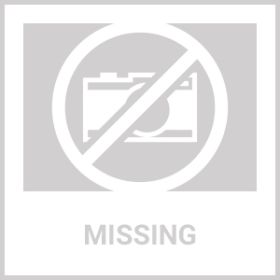 Jason Witten Signed Dallas Cowboys 10x25 Arial Photo Steiner